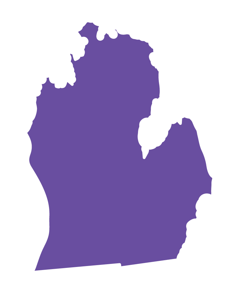 Michigan state shape