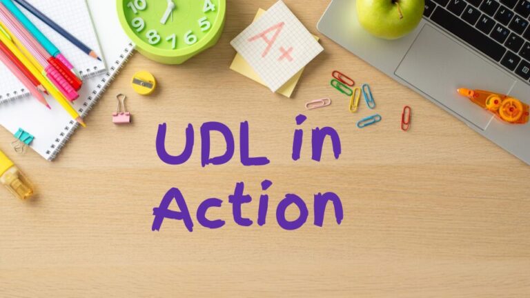 UDL in Action header image
